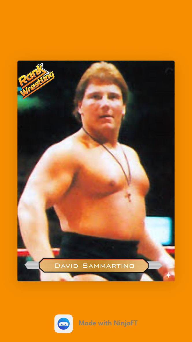 David Sammartino